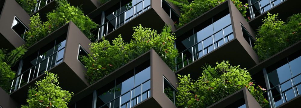 a-chosen-soul-yFVDKJ4R0fk-unsplash